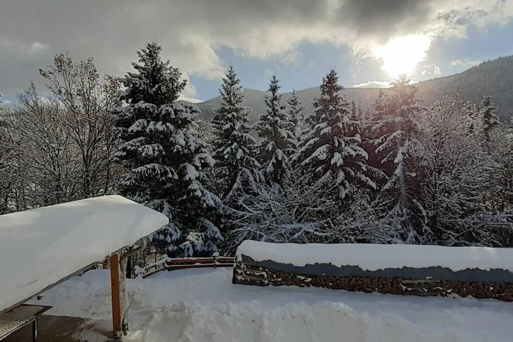 Appartement Cosy A بوسانغ المظهر الخارجي الصورة
